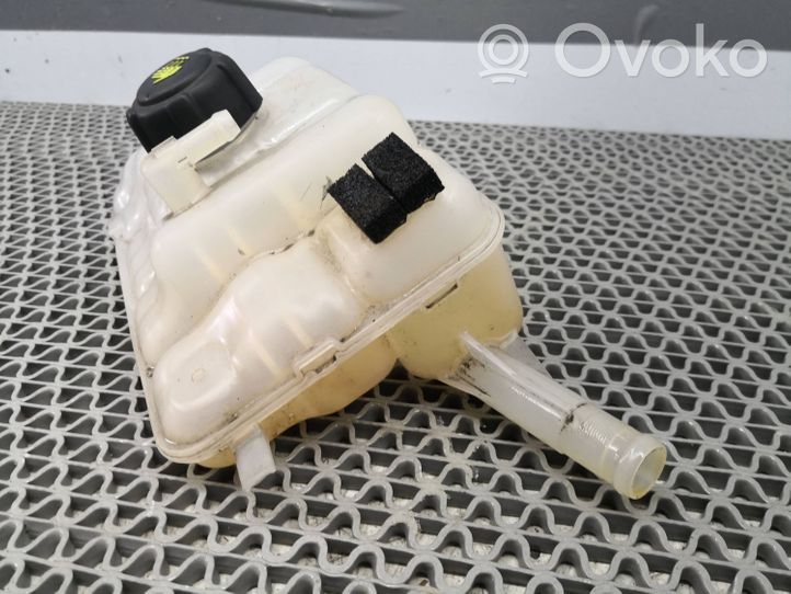 Renault Megane IV Vase d'expansion / réservoir de liquide de refroidissement 217104048R