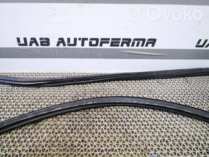 Audi Q2 - Guarnizione in gomma portiera anteriore 81A831721B