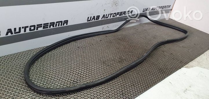 KIA Sportage Rear door rubber seal (on body) 831103U000
