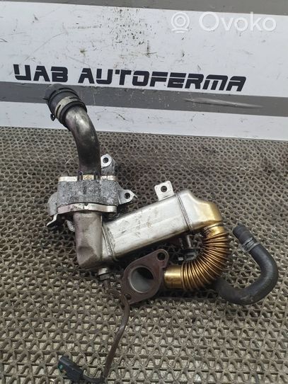 Nissan Qashqai EGR-venttiili/lauhdutin 147350678R