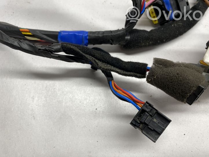 Hyundai Santa Fe Front door wiring loom 