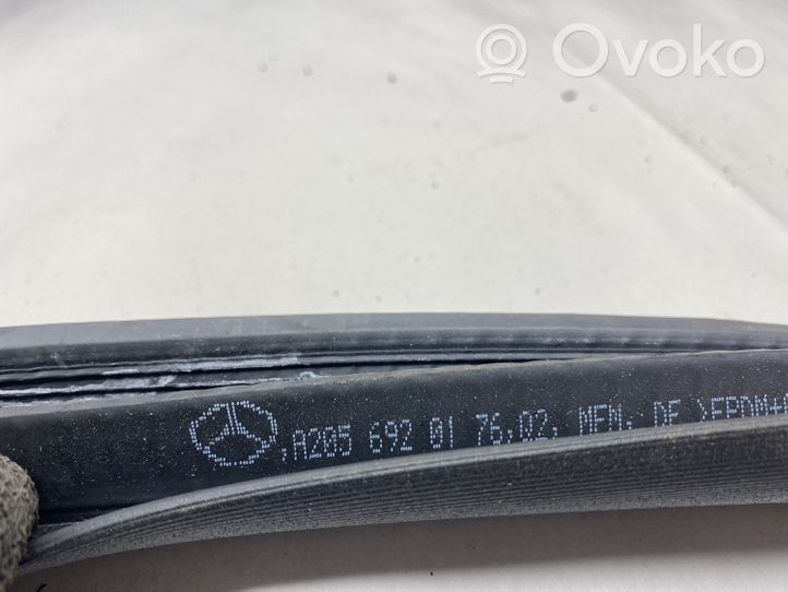 Mercedes-Benz C AMG W205 Rubber seal front coupe door A2056920176