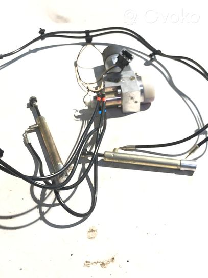 Volkswagen Phaeton Tailgate hydraulic set 3D5827383A