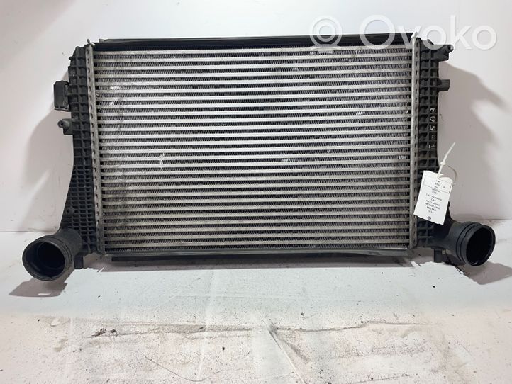 Volkswagen Eos Chłodnica powietrza doładowującego / Intercooler 1K0145803T