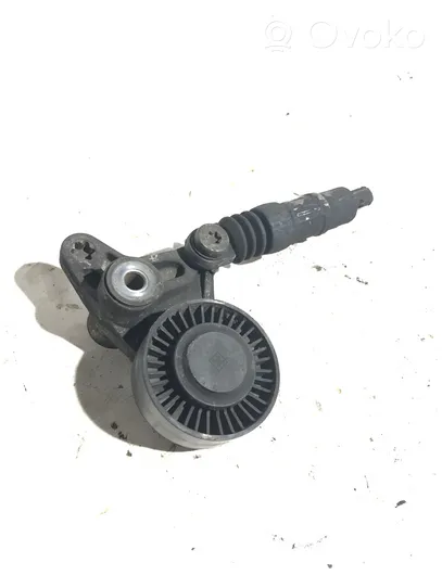 Audi Q7 4L Tendicinghia generatore/alternatore 059145201F