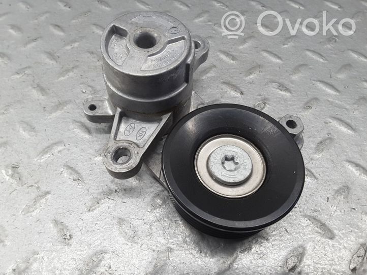 252810700 Hyundai i20 (BC3 BI3) Generator/alternator belt  