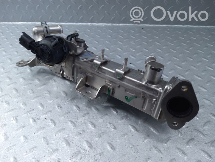 Land Rover Defender EGR-venttiili/lauhdutin K6D39U438AD