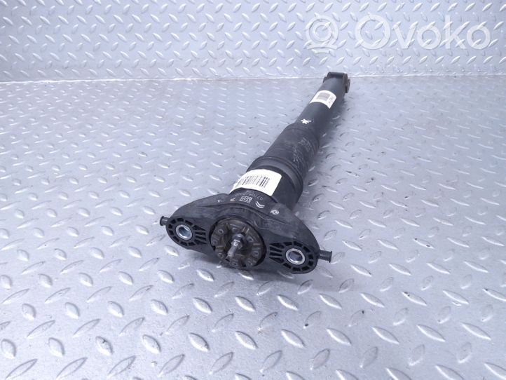 Citroen C4 III e-C4 Ammortizzatore posteriore 9841379480