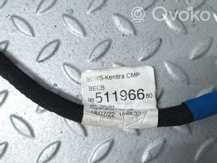 Citroen C4 III e-C4 Cavo negativo messa a terra (batteria) 9851196680