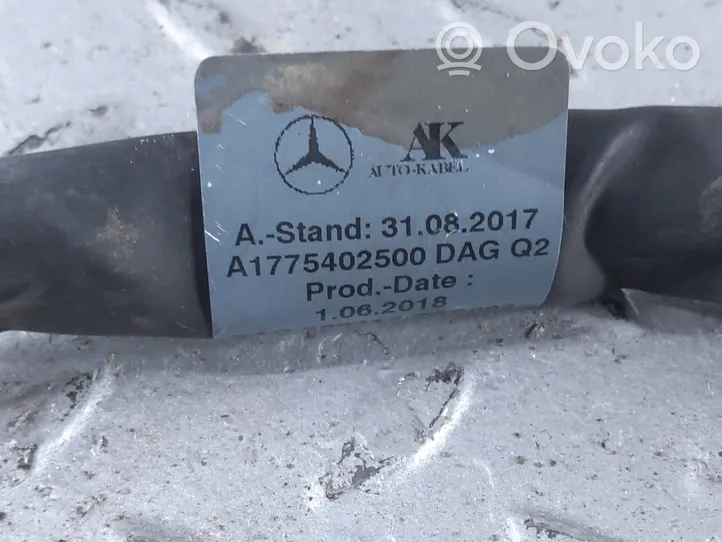 Mercedes-Benz A W177 Câble négatif masse batterie A1775402500