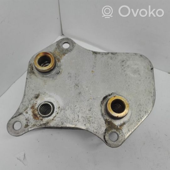 Volkswagen PASSAT B5.5 Radiatore dell’olio del motore 06B117021