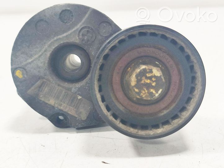 BMW X1 E84 Napinacz paska alternatora 0403550123