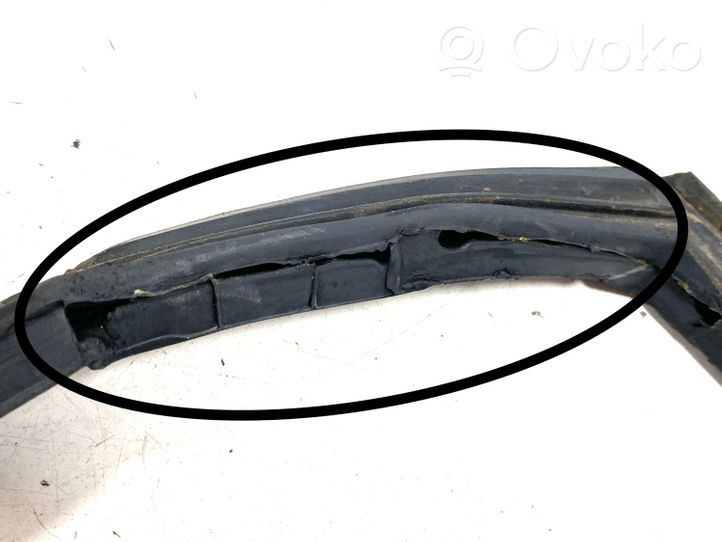 KIA Sorento Rear door rubber seal (on body) 100225