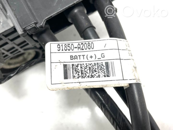 KIA Ceed Cavo positivo (batteria) 91850A2080