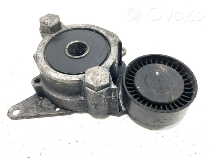 Toyota RAV 4 (XA30) Napinacz paska alternatora 166200R010