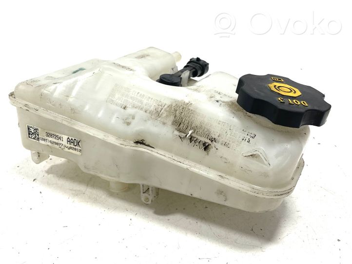 Opel Ampera Zbiornik płynu hamulcowego 32668804