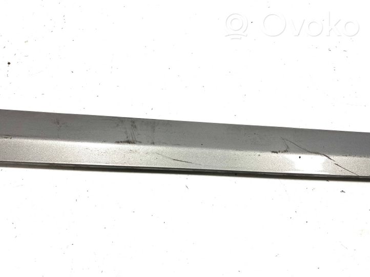 Mercedes-Benz B W245 Front door trim (molding) A1696981962