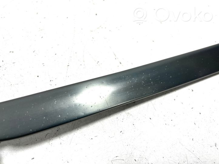 Audi A4 S4 B7 8E 8H Front door trim bar 8E0867409