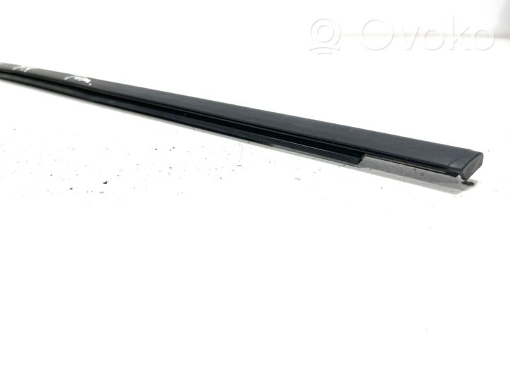 BMW X1 E84 Front door glass trim molding 