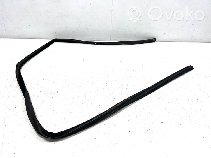 Land Rover Range Rover Sport L320 Gummidichtung Fenster Scheibe Tür vorne CFE000796L3203