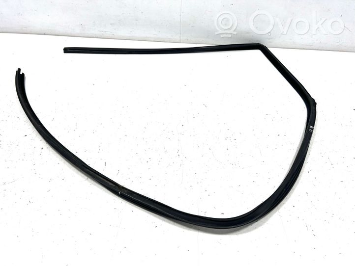 Land Rover Range Rover Sport L320 Guarnizione in gomma finestrino/vetro portiera anteriore L3203CFE000786