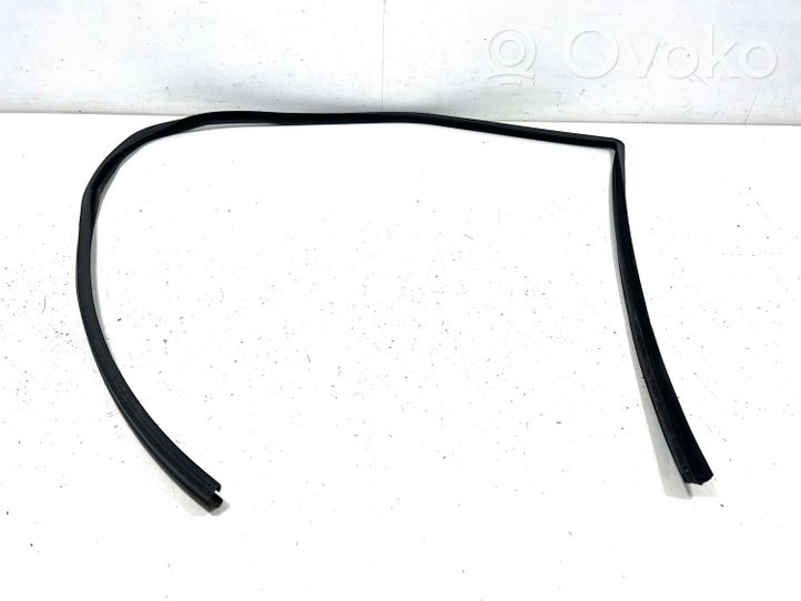 Land Rover Range Rover Sport L320 Guarnizione in gomma finestrino/vetro portiera anteriore L3203CFE000786