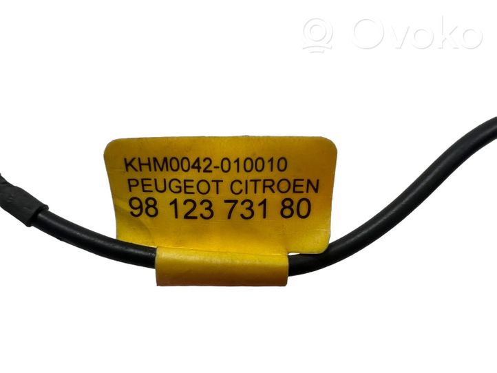 Citroen C3 Aircross Microfono (bluetooth/telefono) 9812373180