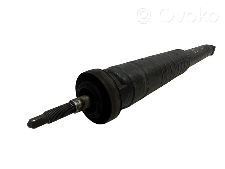 Mercedes-Benz B W245 Rear shock absorber/damper A1693260700