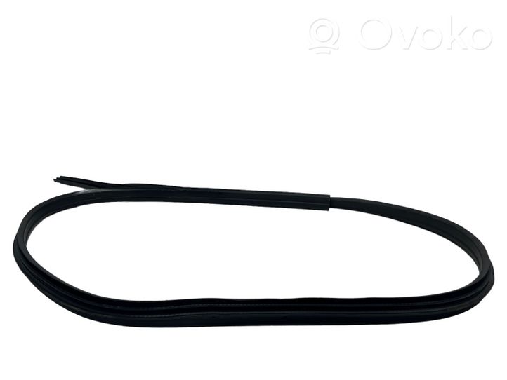 Ford C-MAX II Rear door rubber seal (on body) 