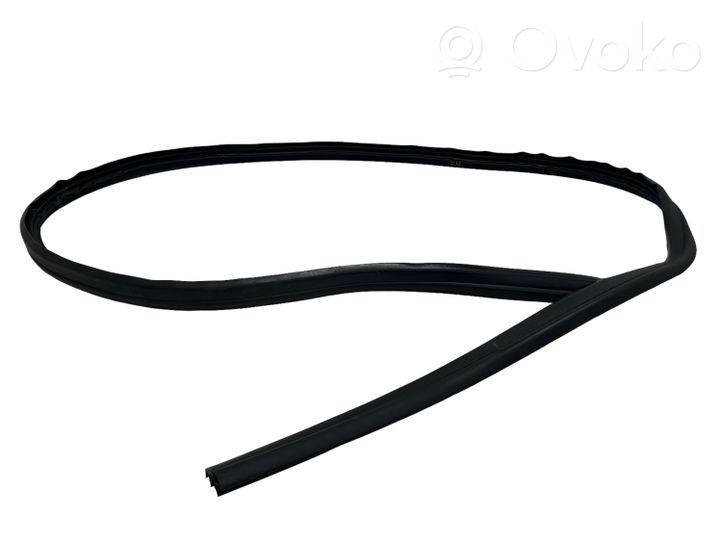 Ford C-MAX II Rear door rubber seal (on body) 