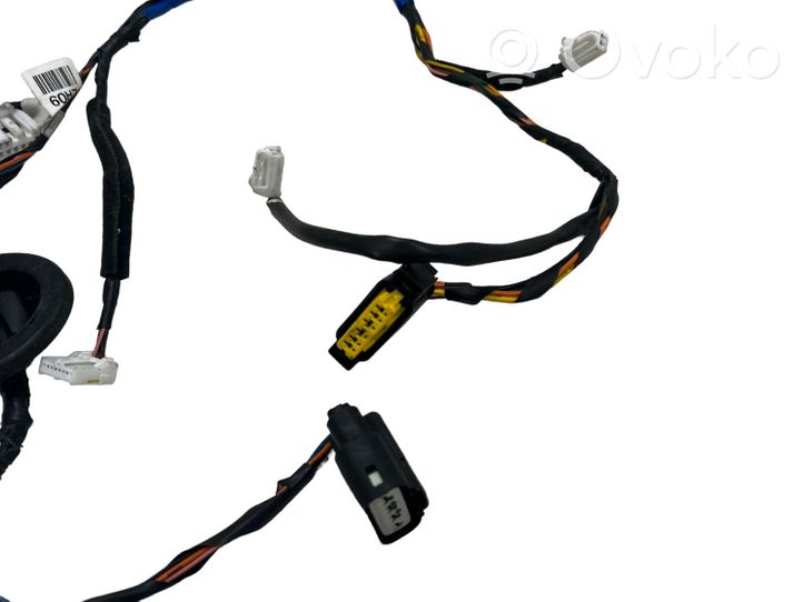 KIA Sorento Rear door wiring loom 916502P881