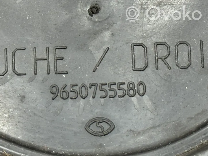 Citroen DS5 Kita variklio skyriaus detalė 9650755580