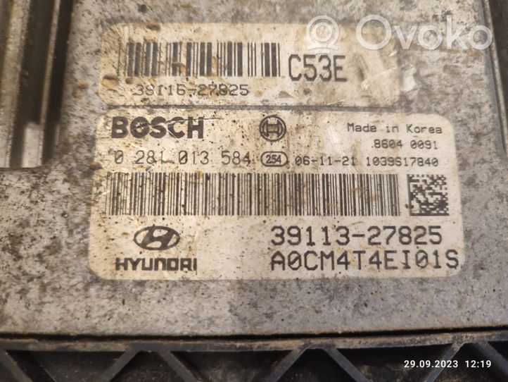 Hyundai Santa Fe Sterownik / Moduł ECU 3911327825