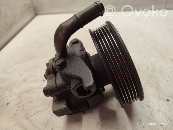 Hyundai Elantra Power steering pump 