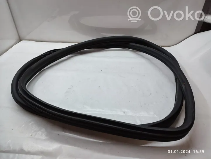 BMW X5 E70 Rear door rubber seal (on body) 