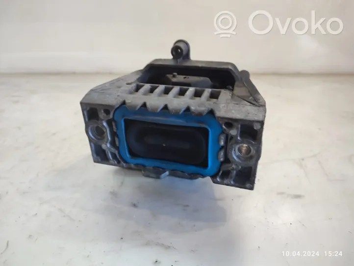 Volkswagen PASSAT B7 Dzinēja spilvens 1K0199262