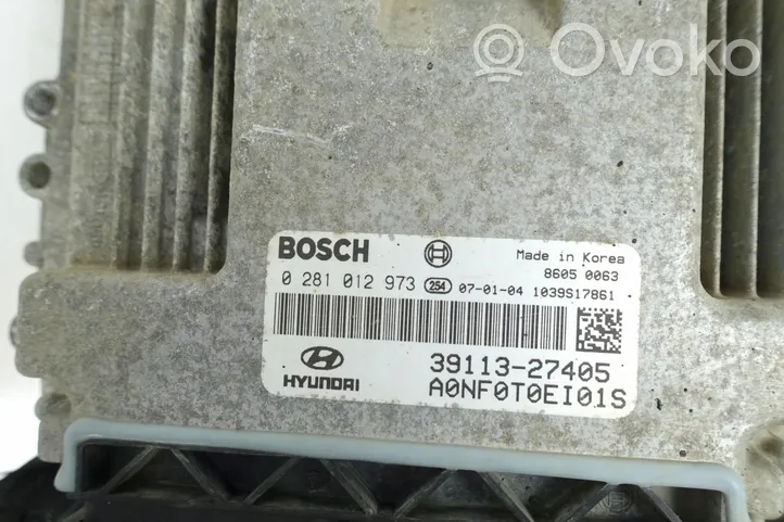 Hyundai Sonata LF Komputer / Sterownik ECU silnika 0281012973