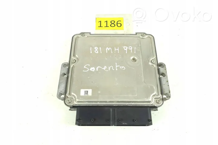 KIA Sorento Блок управления двигателем ECU 0281033117