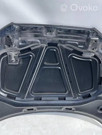 Audi A3 S3 8V Dangtis variklio (kapotas) 