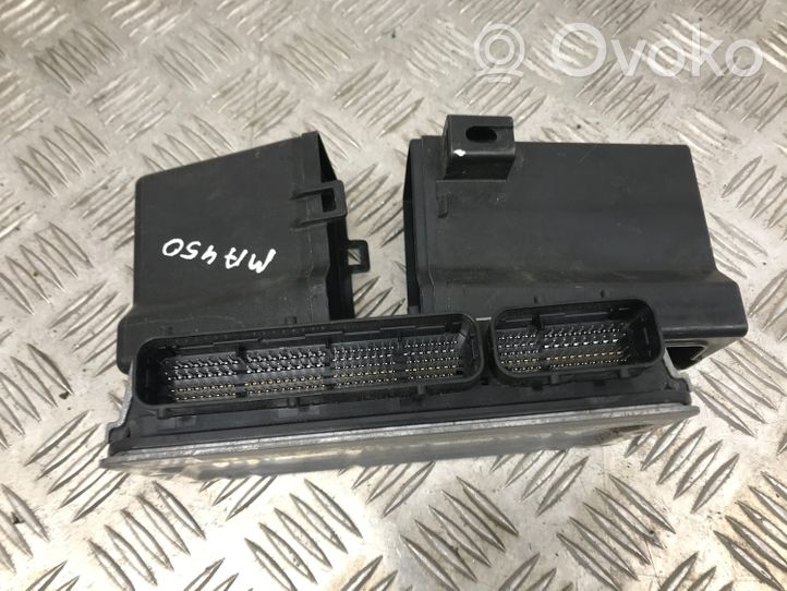 Lexus RX 450H Centralina/modulo del motore 8966148E40