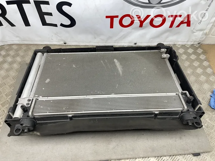 Toyota Prius (XW30) Kit Radiateur 1002221377