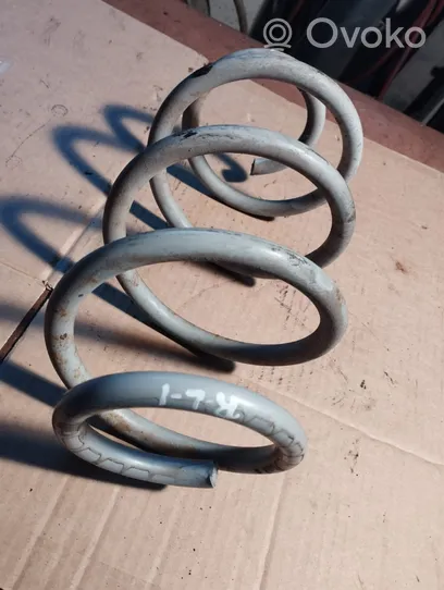 Dodge Journey Front coil spring 