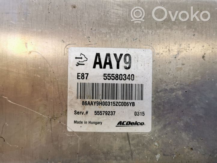 Opel Meriva B Sterownik / Moduł ECU 55579237