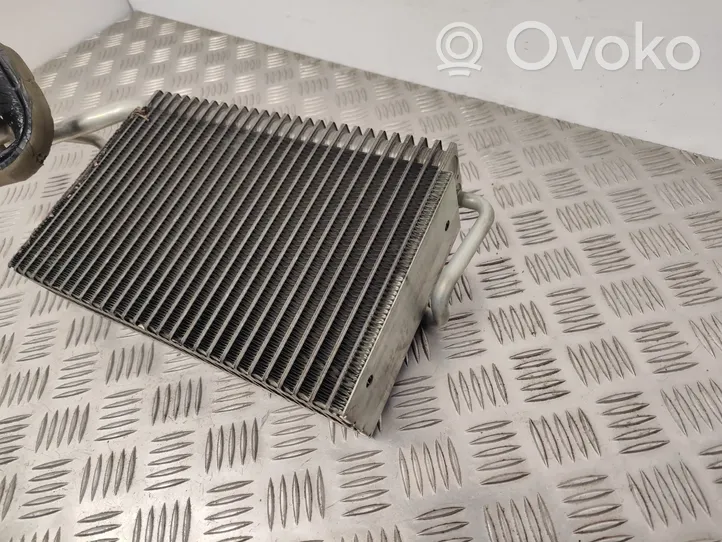 Mercedes-Benz E W211 Gaisa kondicioniera radiators (salonā) A2118300358