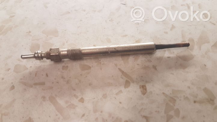 Volkswagen PASSAT B7 Glow plug 0250403007