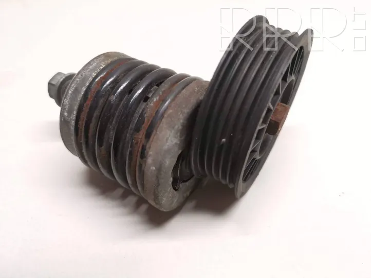 Audi A4 S4 B5 8D Napinacz paska wielorowkowego / Alternatora 