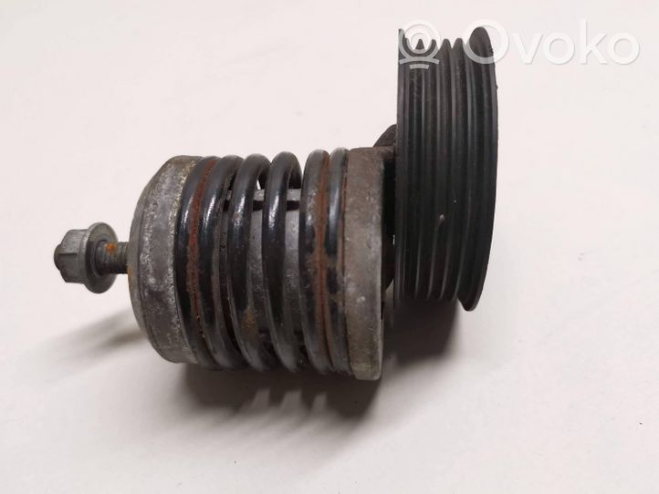 Audi A4 S4 B5 8D Napinacz paska wielorowkowego / Alternatora 