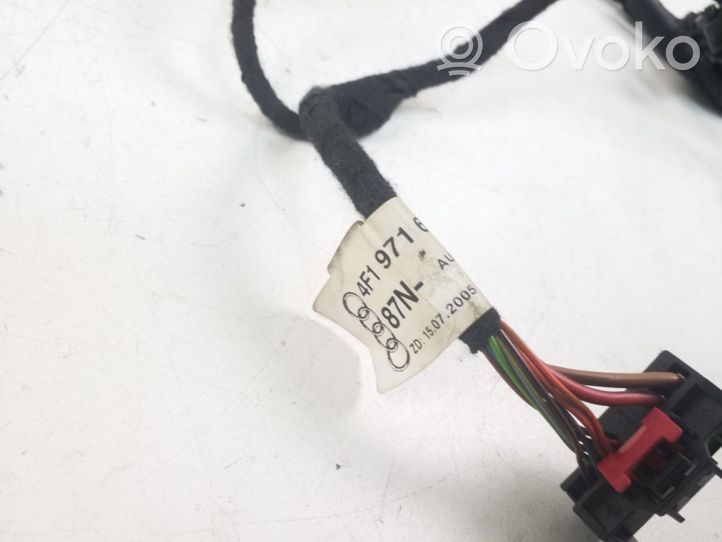 Audi A6 S6 C6 4F Cableado de puerta trasera 4F1971687N