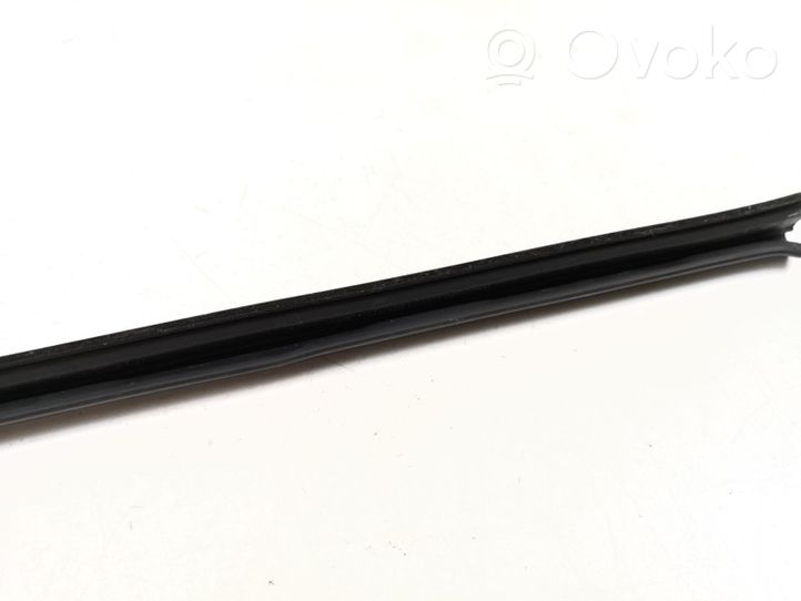 BMW 5 E60 E61 Rubber seal front door window/glass 