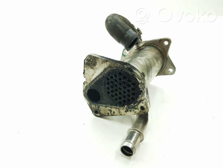 Nissan Juke I F15 EGR-venttiili/lauhdutin 147355713R